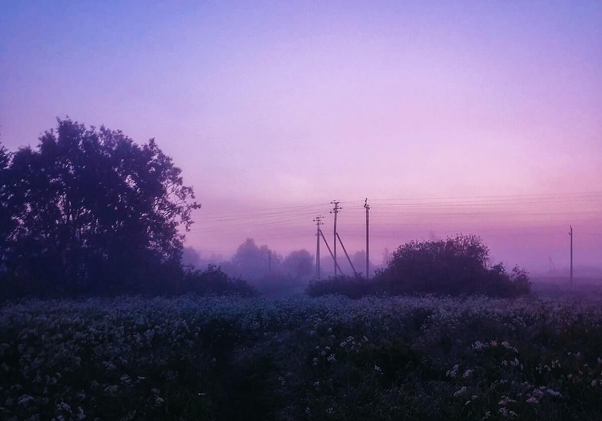 约翰逊29+9 丹尼尔斯三双率老鹰客场大胜掘金